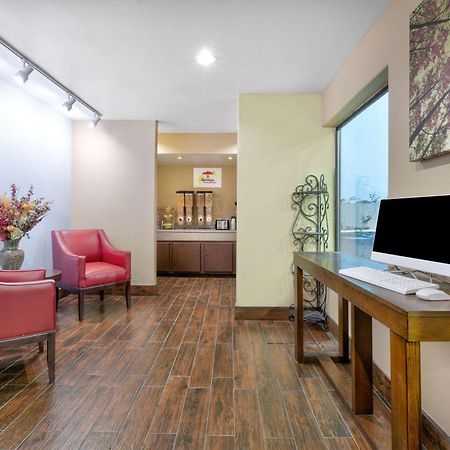 Hotel Super 8 By Wyndham New Braunfels I-35 Extérieur photo