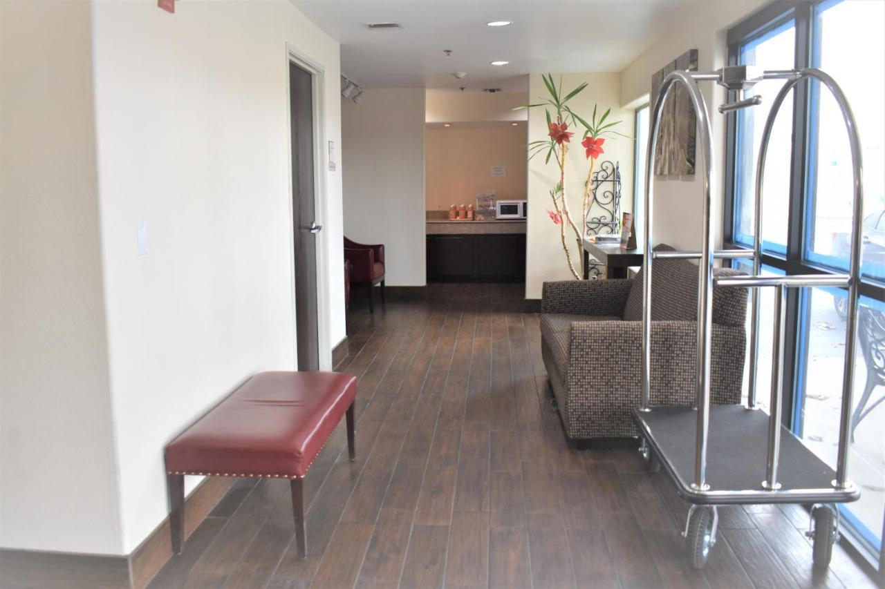 Hotel Super 8 By Wyndham New Braunfels I-35 Extérieur photo
