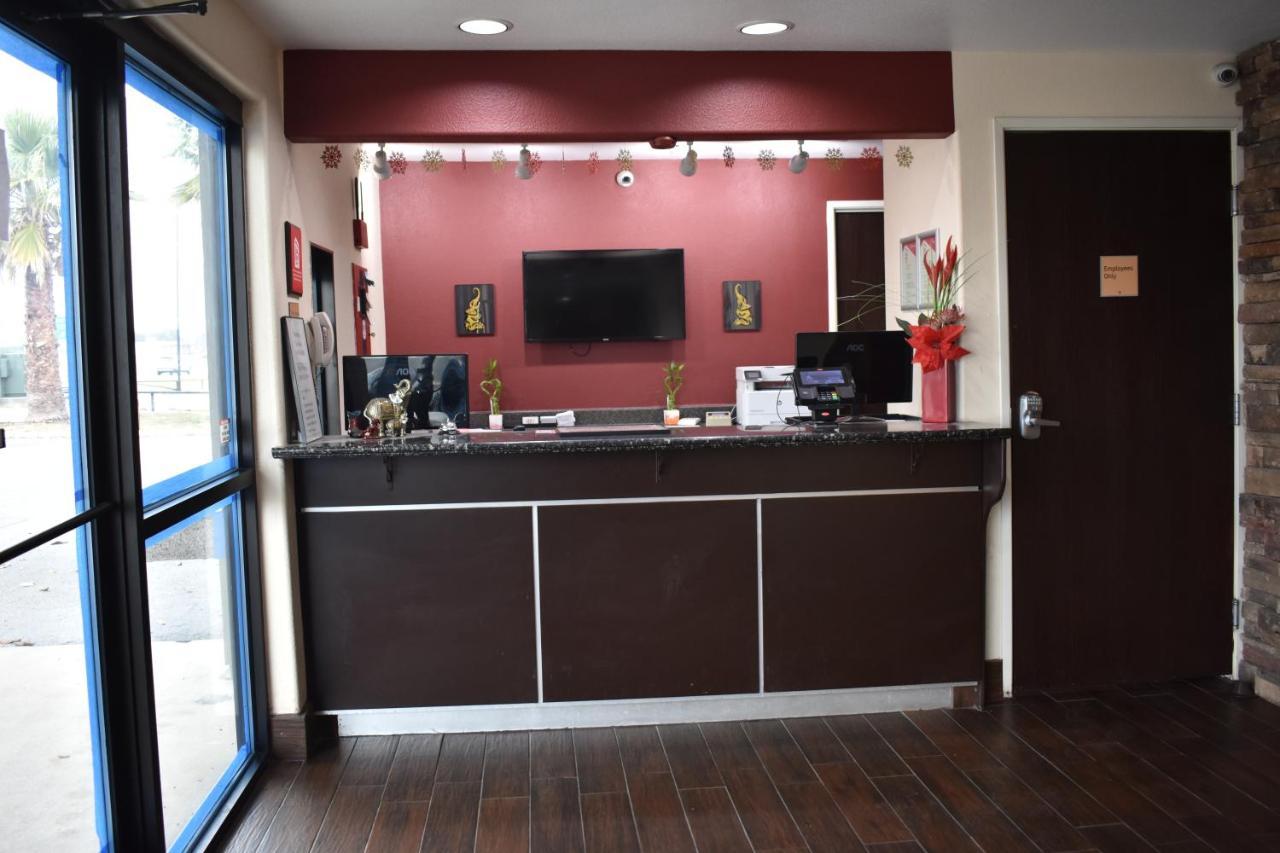 Hotel Super 8 By Wyndham New Braunfels I-35 Extérieur photo