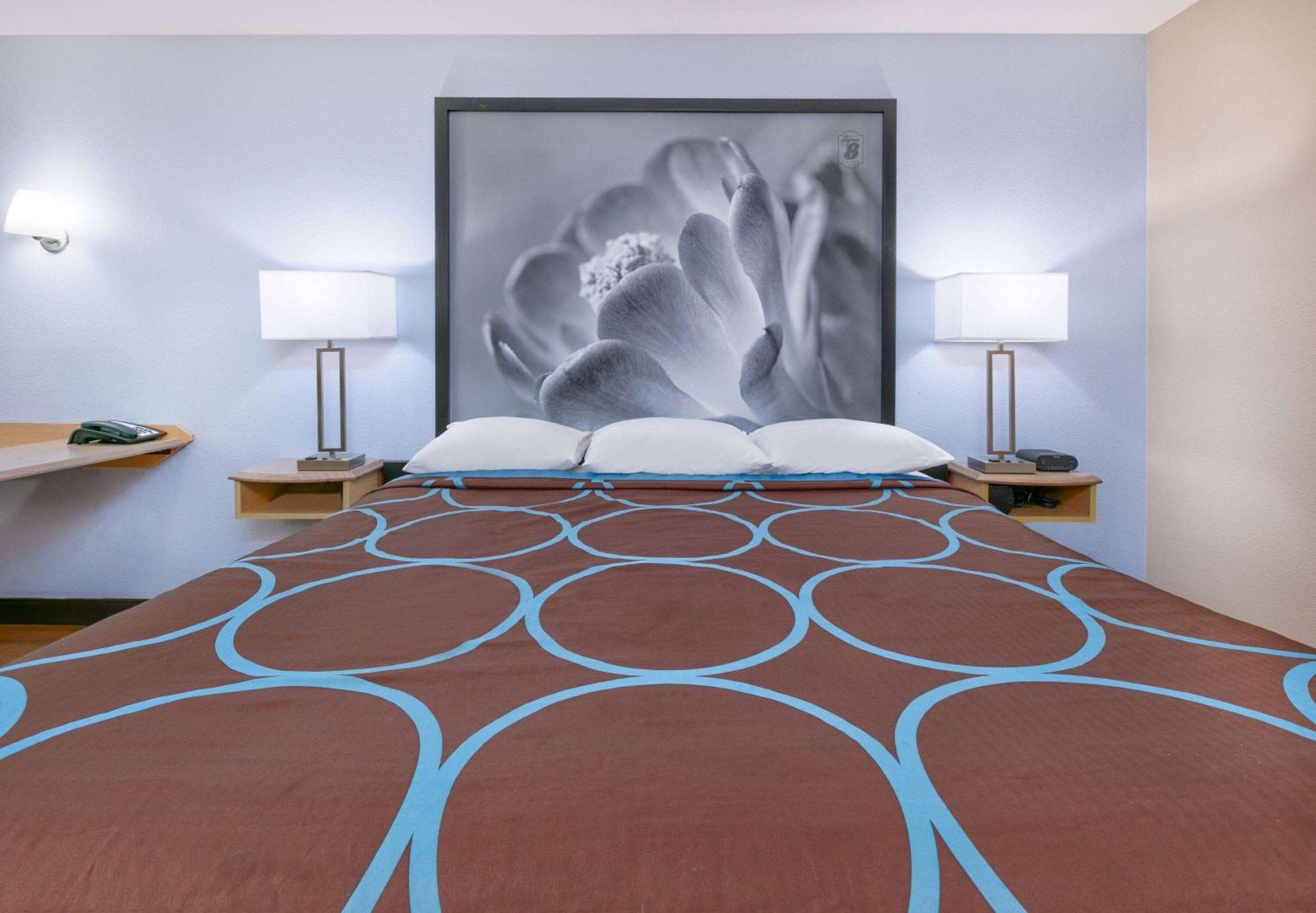 Hotel Super 8 By Wyndham New Braunfels I-35 Extérieur photo